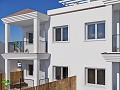 Fabelhafte Neubauwohnung in Alicante Dream Homes API 1122