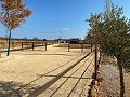 Schönes Landhaus mit Pool in Lel in Alicante Dream Homes API 1122