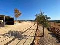 Schönes Landhaus mit Pool in Lel in Alicante Dream Homes API 1122