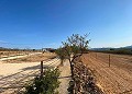 Schönes Landhaus mit Pool in Lel in Alicante Dream Homes API 1122