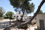 Villa Pozo Blanco, Thuis op de Ranch in Alicante Dream Homes API 1122