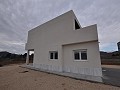 Nieuwbouw in Salinas in Alicante Dream Homes API 1122