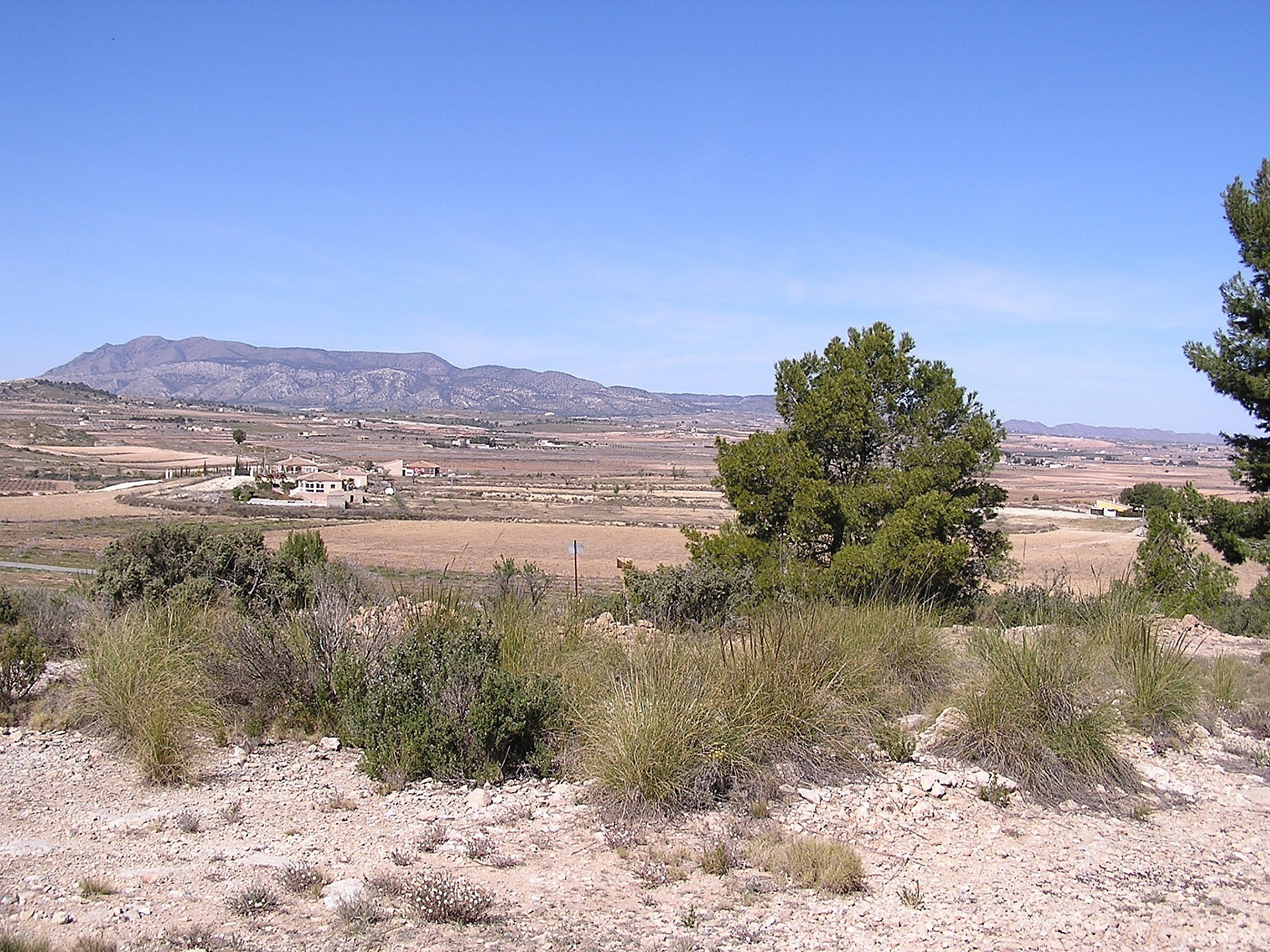 Parcela en Pinoso