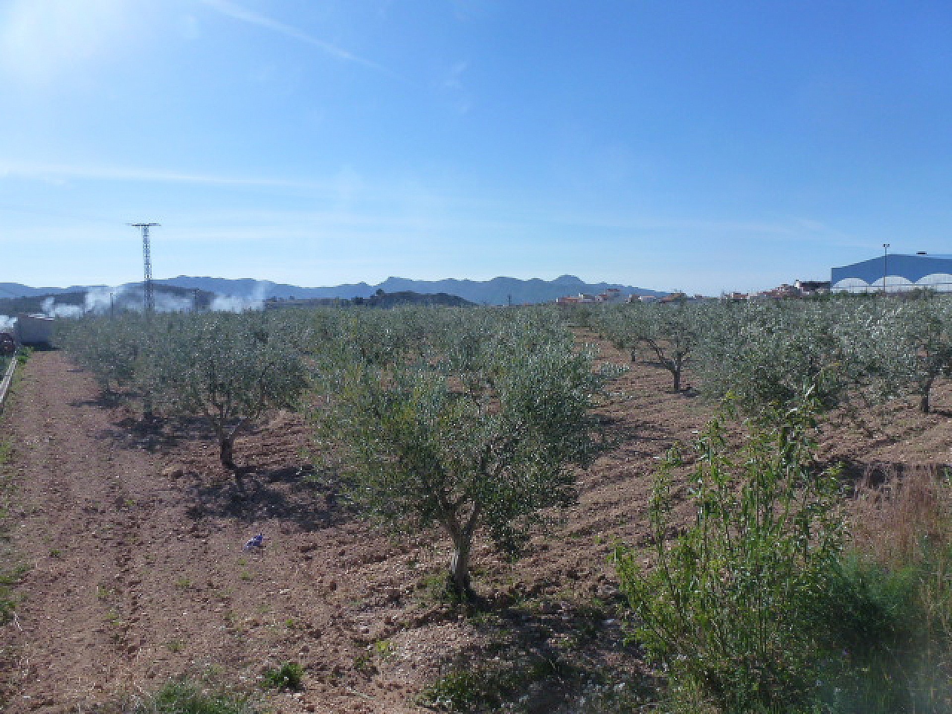 Land in Macisvenda