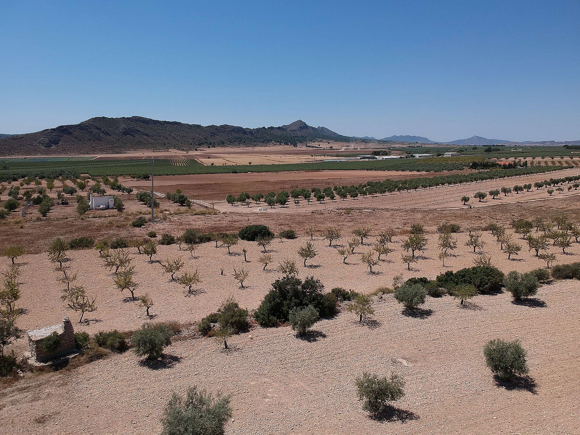 Parcela en Caudete