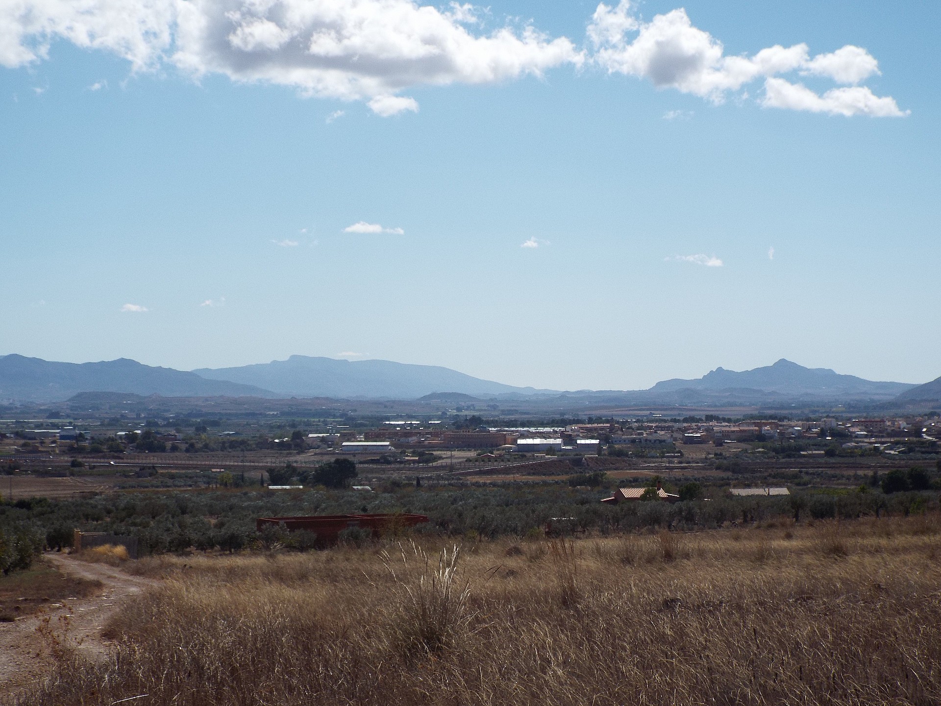 Land in Caudete