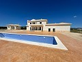 Obra Nueva con Piscina en Pinoso in Alicante Dream Homes API 1122