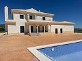 Obra Nueva con Piscina en Pinoso in Alicante Dream Homes API 1122