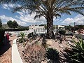 Geräumige Finca mit Swimmingpool und Carport in Hondon de las Nieves in Alicante Dream Homes API 1122