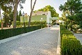 Luxuriöse Villa in Aspe, nur wenige Gehminuten von der Stadt entfernt in Alicante Dream Homes API 1122