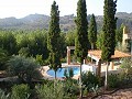 Two houses plus ruins and large amount of land in Alicante Dream Homes API 1122