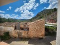 Dos casas mas ruinas y gran cantidad de terreno in Alicante Dream Homes API 1122