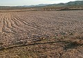 Terrain à bâtir à Salinas avec électricité à proximité et eau in Alicante Dream Homes API 1122