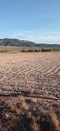 Terrain à bâtir à Salinas avec électricité à proximité et eau in Alicante Dream Homes API 1122