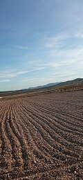 Terrain à bâtir à Salinas avec électricité à proximité et eau in Alicante Dream Homes API 1122