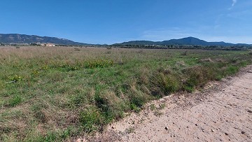 Building Plot in Salinas with Electric near by and Water