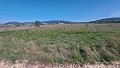 Terrain à bâtir à Salinas avec électricité à proximité et eau in Alicante Dream Homes API 1122