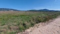 Terrain à bâtir à Salinas avec électricité à proximité et eau in Alicante Dream Homes API 1122