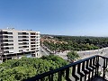 Appartement in Elx in Alicante Dream Homes API 1122