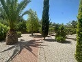 Amazing villa in Hondon de las nieves in Alicante Dream Homes API 1122