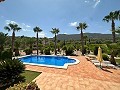 Amazing villa in Hondon de las nieves in Alicante Dream Homes API 1122