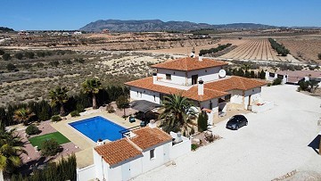 Chalet independiente en Pinoso con anexo de invitados y piscina