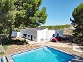 Villa de 4 chambres avec façade modernisée et piscine in Alicante Dream Homes API 1122