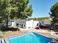 Villa de 4 chambres avec façade modernisée et piscine in Alicante Dream Homes API 1122