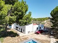 Villa de 4 chambres avec façade modernisée et piscine in Alicante Dream Homes API 1122