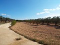 Groot landhuis, op loopafstand van de stad in Alicante Dream Homes API 1122