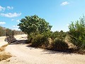 Groot landhuis, op loopafstand van de stad in Alicante Dream Homes API 1122