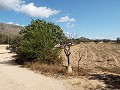 Groot landhuis, op loopafstand van de stad in Alicante Dream Homes API 1122