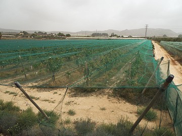 Building Plot near Alenda Golf