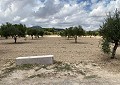 Villa de 4 chambres avec piscine à seulement 500 mètres à pied de la ville de Sax in Alicante Dream Homes API 1122