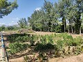 Country House with a pool and outbuildings in Alicante Dream Homes API 1122