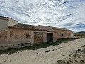 Grande maison historique et bodega à Pinoso in Alicante Dream Homes API 1122