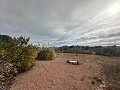 Riesiges Landhaus mit 6 Schlafzimmern in Ubeda in Alicante Dream Homes API 1122