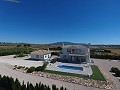 Atemberaubende Villa mit Swimmingpool und Gästehaus in Pinoso in Alicante Dream Homes API 1122