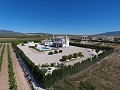 Atemberaubende Villa mit Swimmingpool und Gästehaus in Pinoso in Alicante Dream Homes API 1122