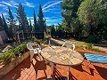 Lovely country home in Sax in Alicante Dream Homes API 1122