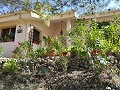 2 Bedroom 2 Bathroom Country Home in Alicante Dream Homes API 1122