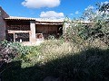 Casa de campo grande con piscina, terreno y zona para animales cerca de Elda y Monóvar. in Alicante Dream Homes API 1122