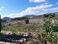 Groot landhuis met zwembad, land en dierenweide nabij Elda en Monóvar. in Alicante Dream Homes API 1122