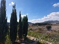 Casa de campo grande con piscina, terreno y zona para animales cerca de Elda y Monóvar. in Alicante Dream Homes API 1122