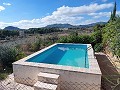 Casa de campo grande con piscina, terreno y zona para animales cerca de Elda y Monóvar. in Alicante Dream Homes API 1122