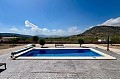 Stunning virtual new build villa just outside Pinoso in Alicante Dream Homes API 1122