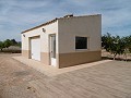 Spectaculaire villa met 6 slaapkamers en 2 badkamers en zwembad in Alicante Dream Homes API 1122