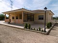 Spectaculaire villa de 6 chambres et 2 salles de bain avec piscine in Alicante Dream Homes API 1122