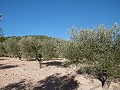 Landhuis met 2 slaapkamers en 1 badkamer met zwembad in Alicante Dream Homes API 1122