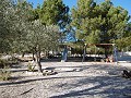 Maison de campagne avec 2 chambres et 1 salle de bain avec piscine in Alicante Dream Homes API 1122